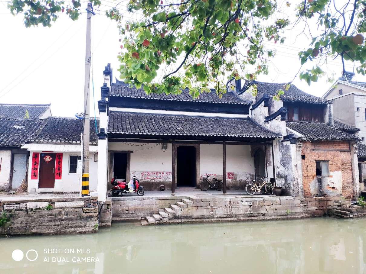 除虫大师